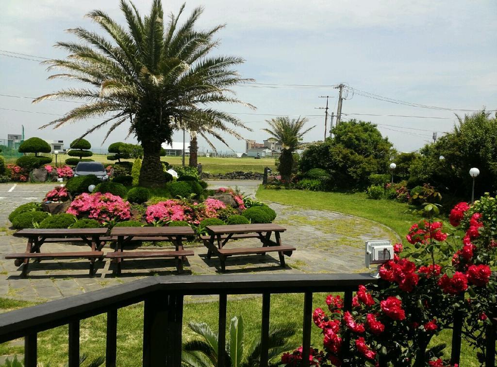 Jeju Again Olle Pension Eksteriør billede