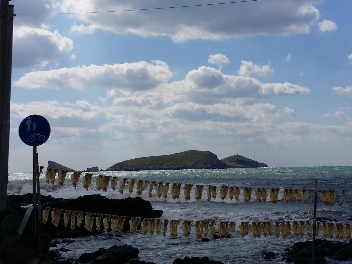 Jeju Again Olle Pension Eksteriør billede