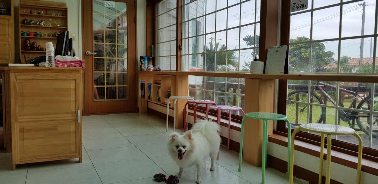 Jeju Again Olle Pension Eksteriør billede